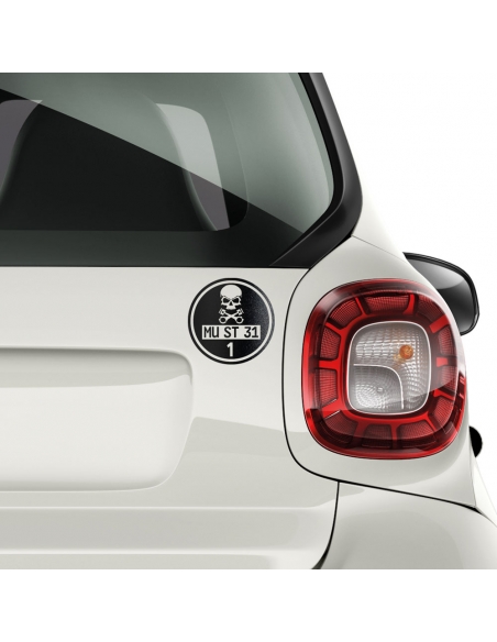 "Enhance Your Car's Style with Personalized Feinstaubplakette Sticker