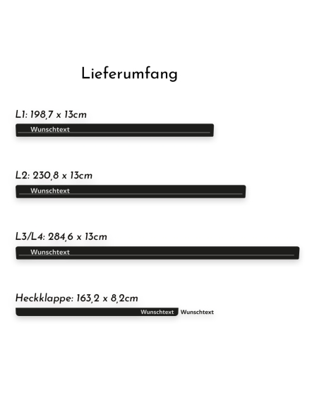 Seitenstreifen passend für Citroën Jumper