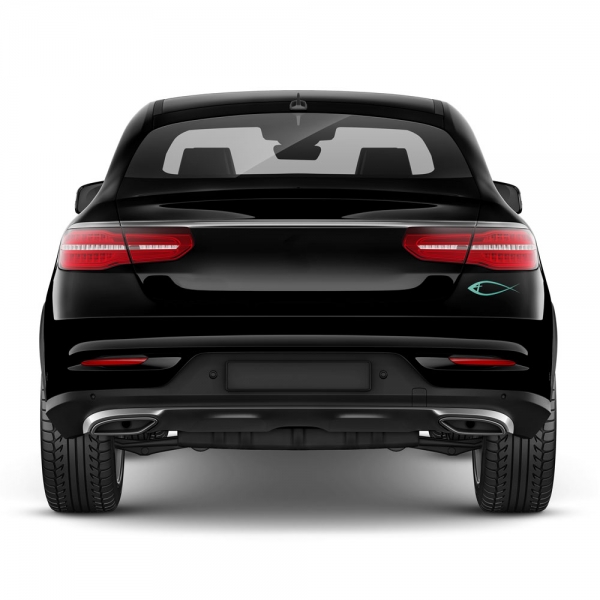 Custom Color Cross Fish Sticker Set - Enhance Your Style