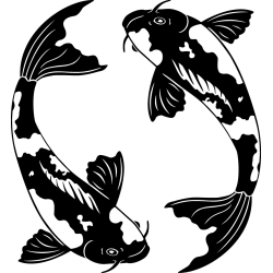 Yin & Yang Koi Aufkleber in Wunschfarbe Auto-Dress