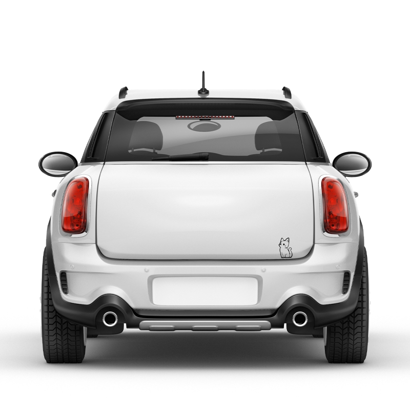 Spinne Aufkleber in Wunschfarbe Auto-Dress