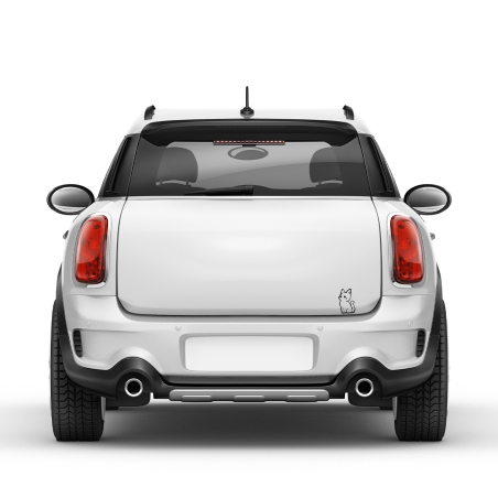 Spinne Aufkleber in Wunschfarbe Auto-Dress