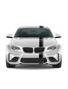 Car Viper stripes in desired color stickers, decorative stickers, racing stripes 200x13cm