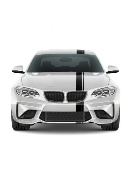 Car Viper stripes in desired color stickers, decorative stickers, racing stripes 200x13cm